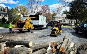 Best Tree Trimming and Pruning  in Rahway, NJ