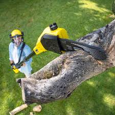 Best Arborist Consultation Services  in Rahway, NJ